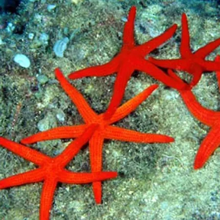 A Casa Di Lele * Porto Cesareo